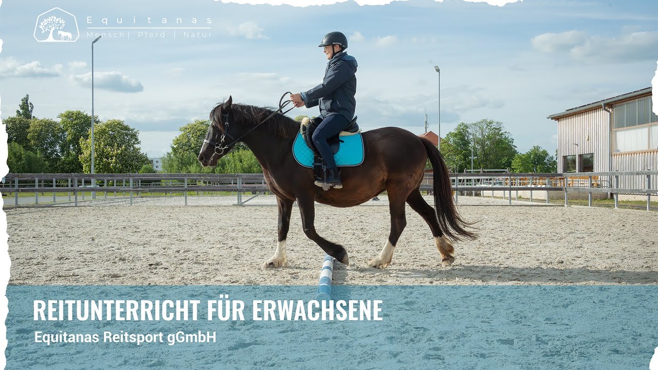 Equitanas Reitsport gGmbH - Reitunterricht für Anfänger, Wiedereinsteiger und Fortgeschrittene