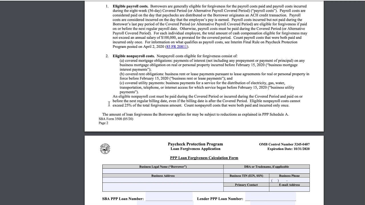 NEW: PPP Loan Forgiveness Changes & SBA EIDL Loan Progress