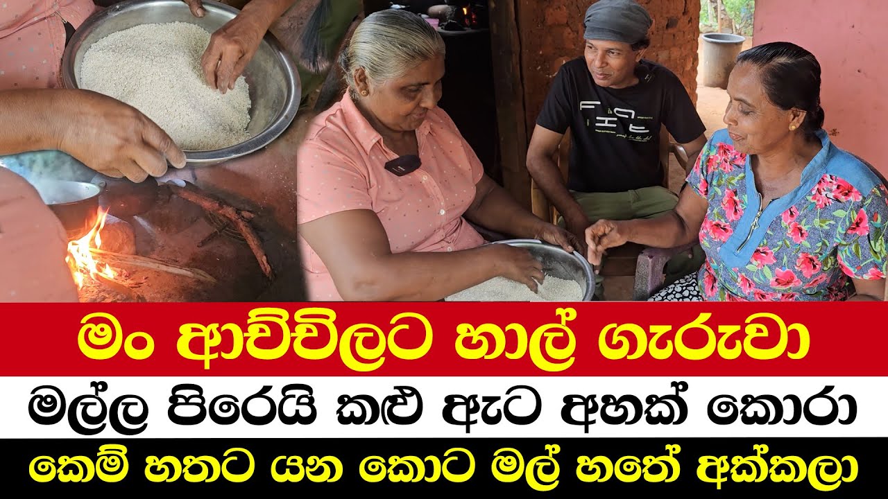 මං ආච්චිලට හාල් ගැරුවා | මල්ල පිරෙයි කළු ඇට අහක් කොරා | කෙම් හතට යන කොට මල් හතේ අක්කලා
