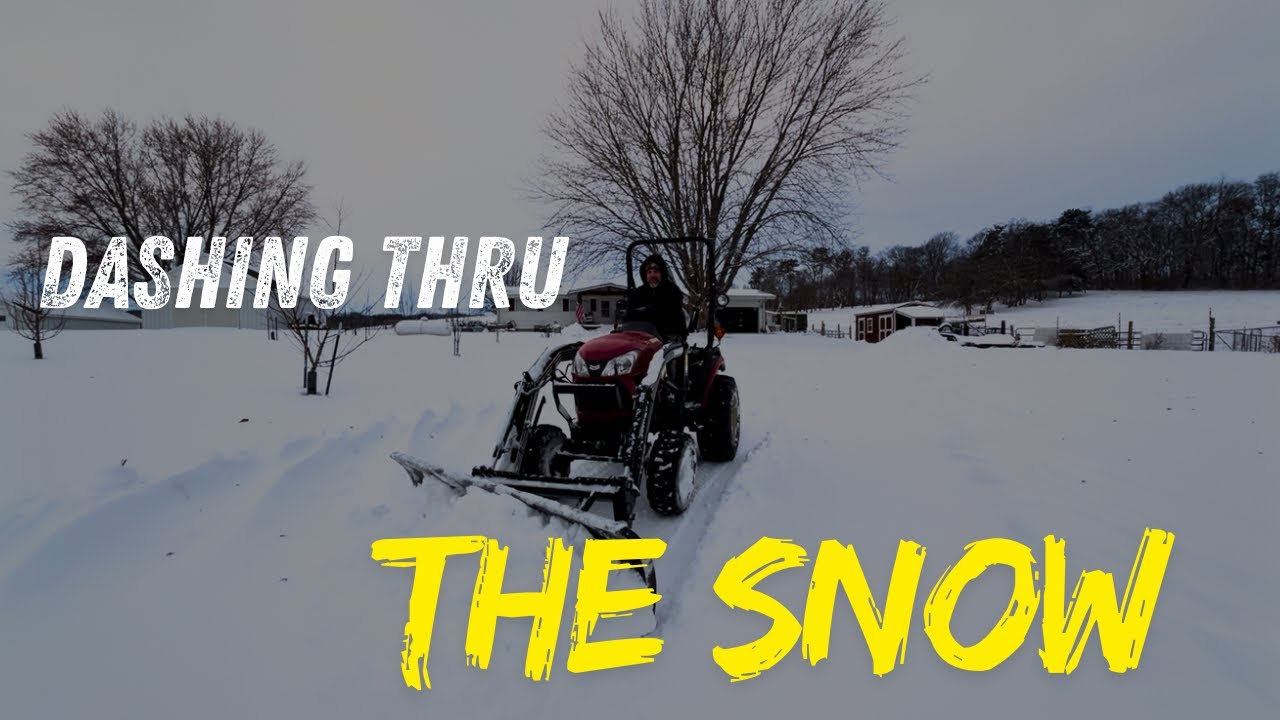 Dashing Thru the Snow 