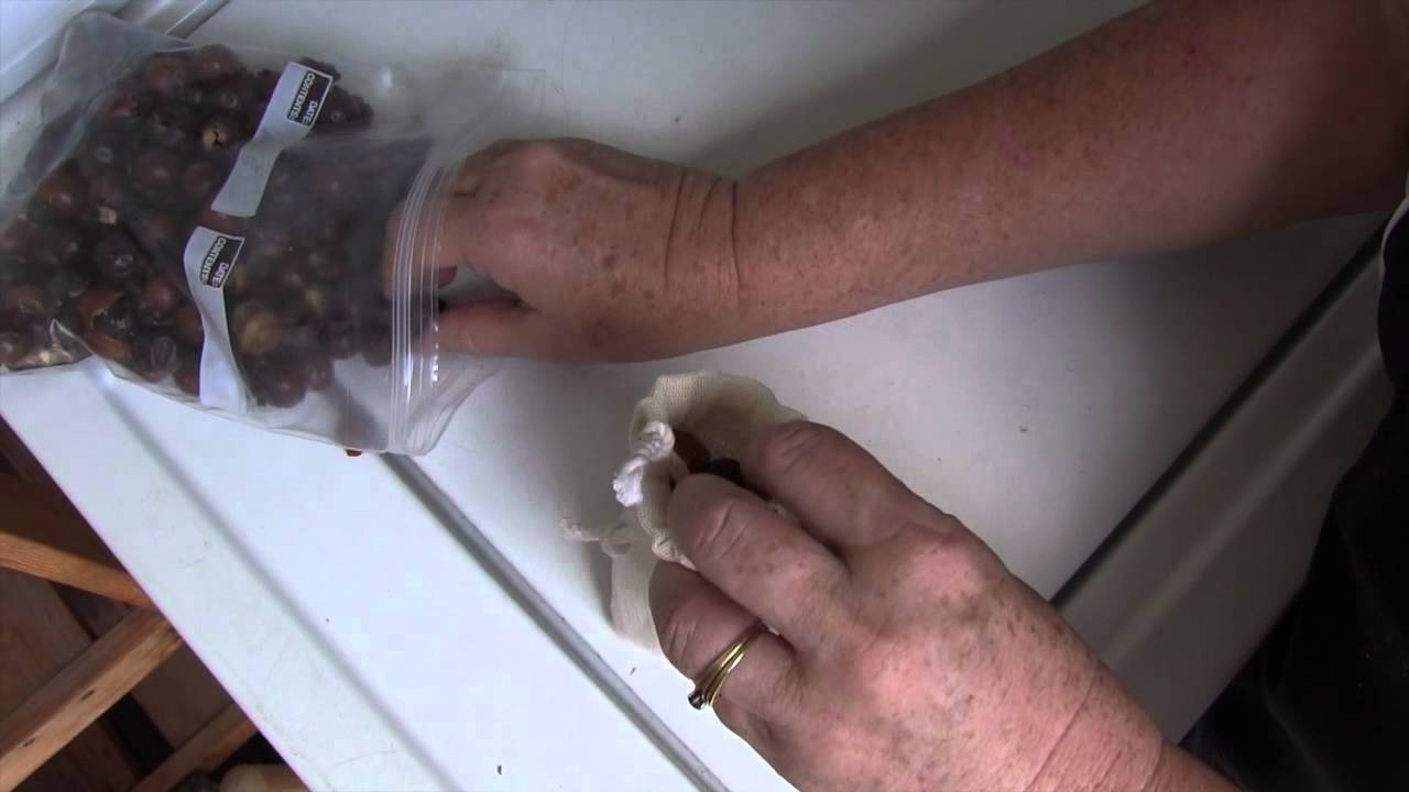 How to use Soap Berries (Soap Nuts)