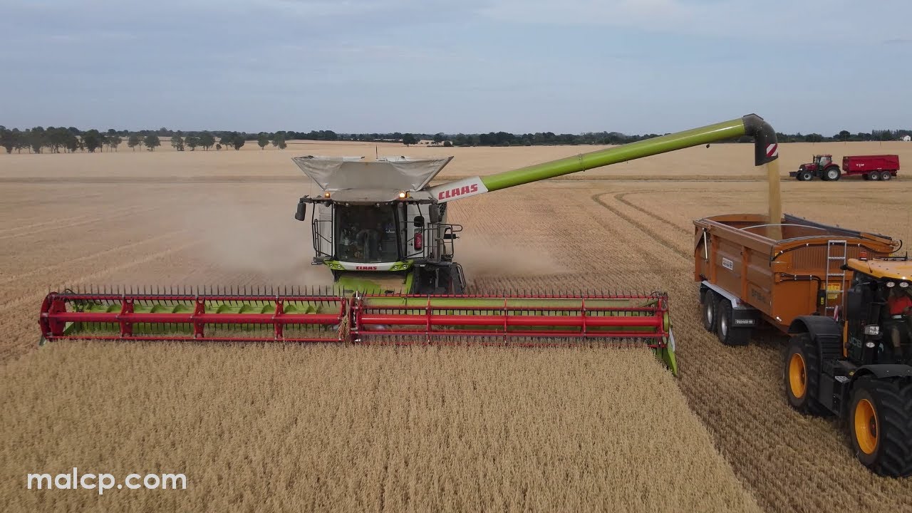 Harvest 2022: Claas Lexion 8900 near Mickfield - taken when the sun wasn't shining!