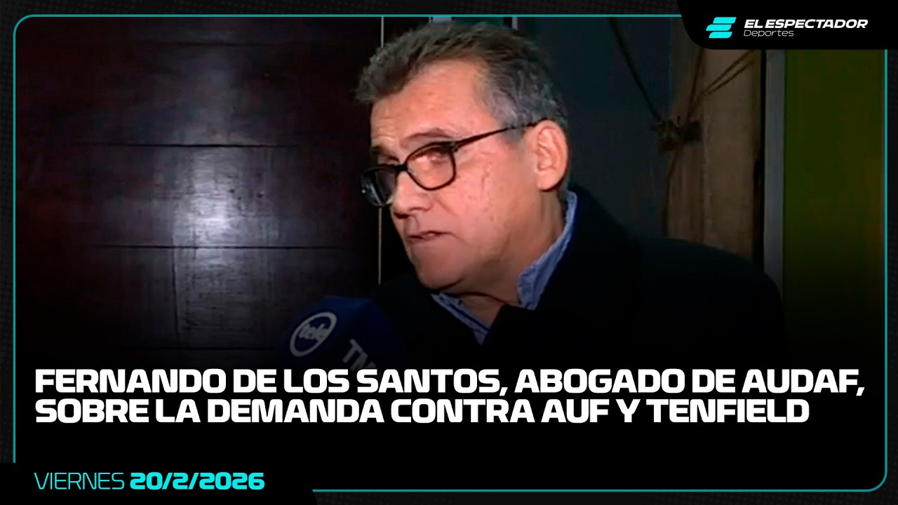FERNANDO DE LOS SANTOS, ABOGADO DE AUDAF: 
