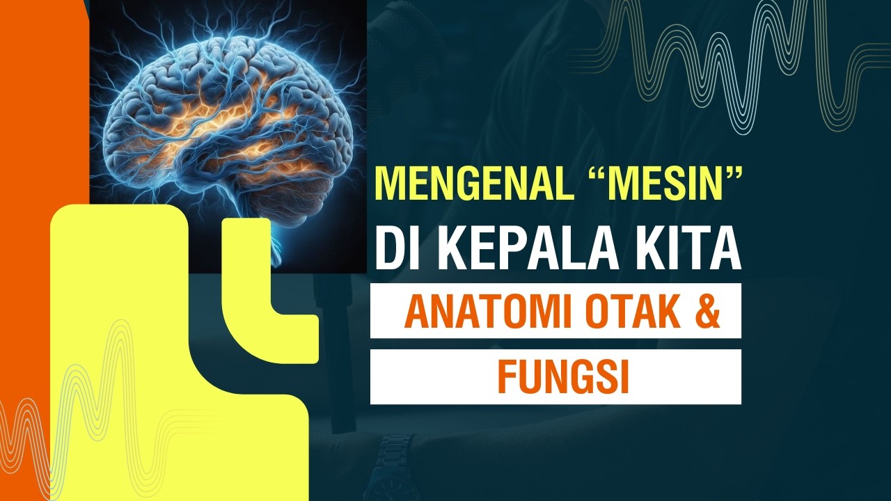 Mengenal 