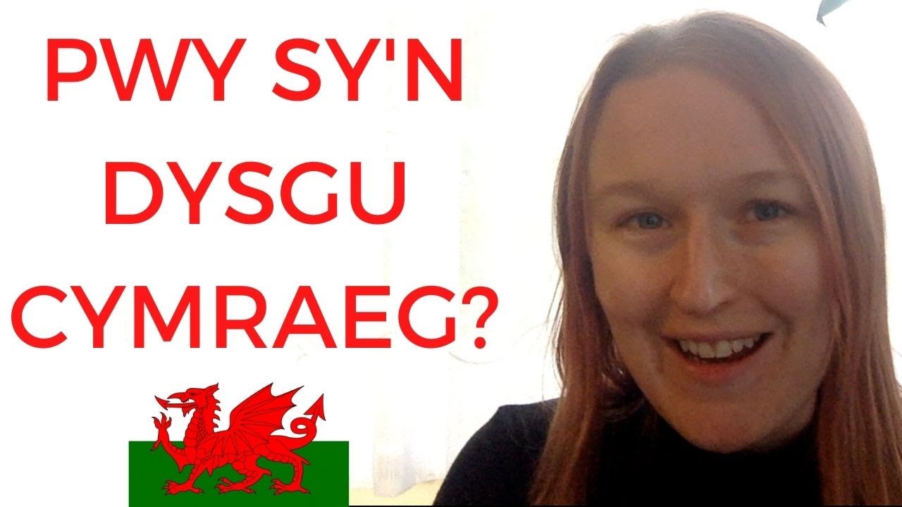 Pwy sy'n dysgu Cymraeg? A pham? (Flog Cymraeg #2)