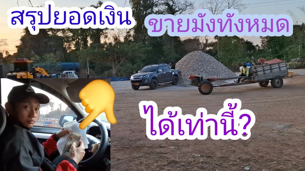 สรุปรายได้ขายมันได้เกินคาดหลือขาดทุน😄😄✌️🇱🇦❤️🇹🇭#แม่น้องรุ่งบ้านนา#9/2/26