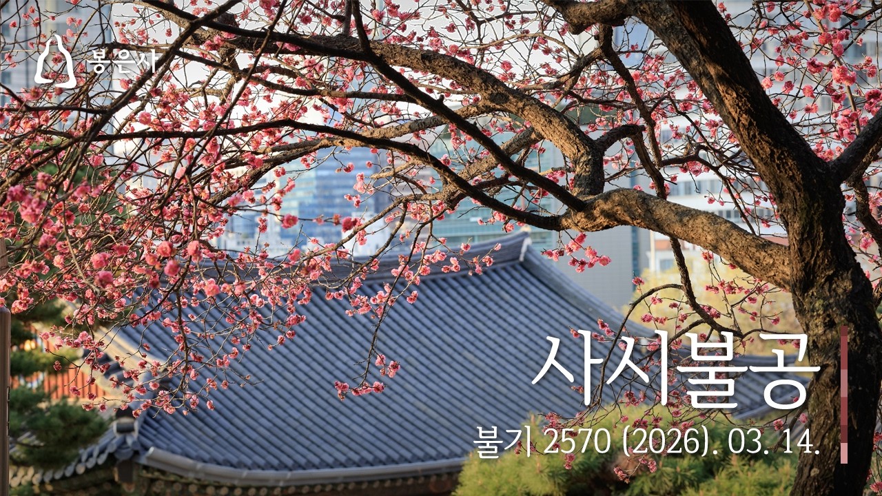 봉은사 사시불공 (2026.03.14.)