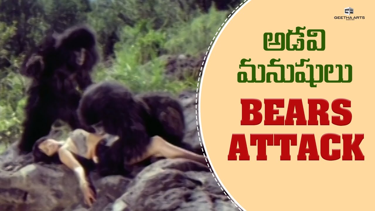 Adavi Manushulu Telugu Movie Scenes | Bears Attack | No Dialogues Film | Tiger Prabhakar | Leela