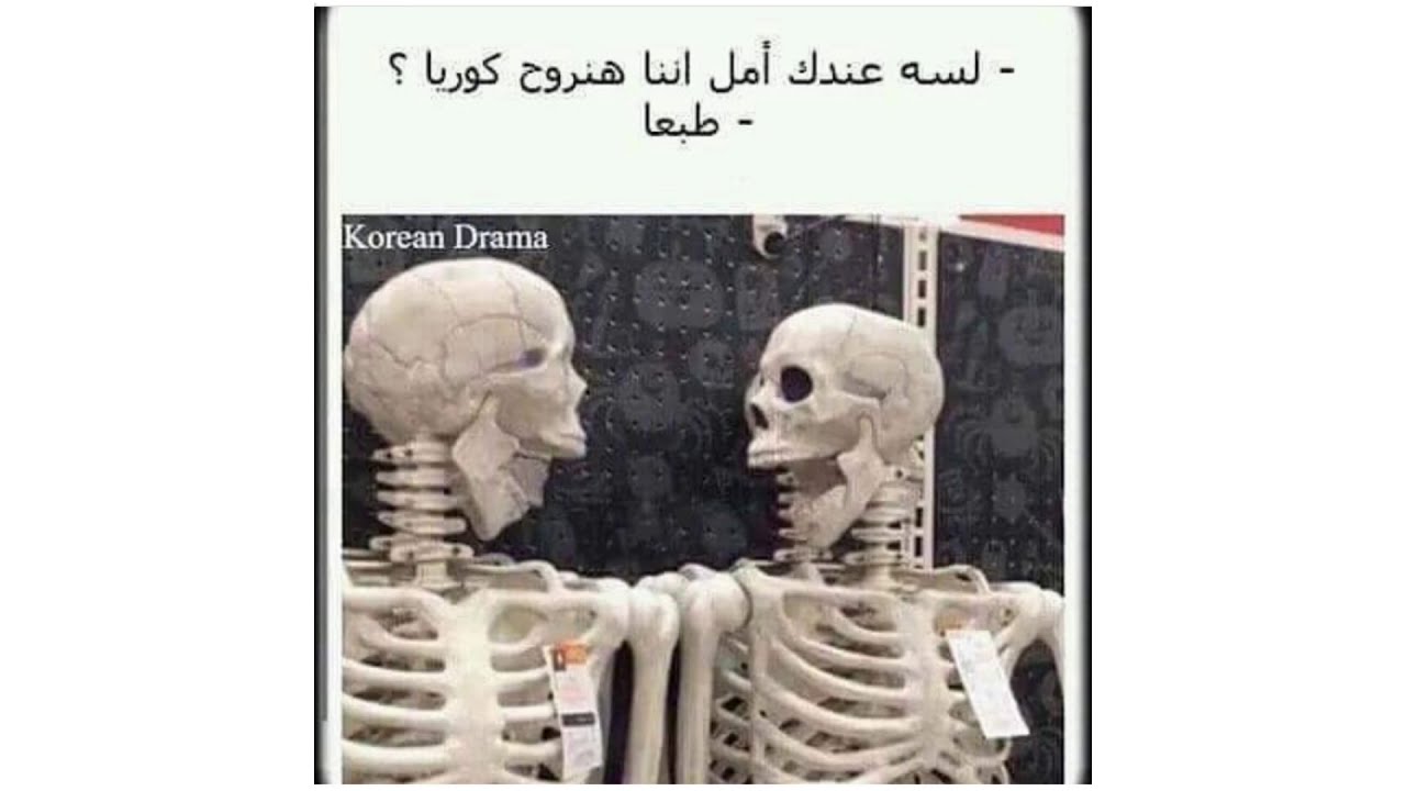 شكلي بالكوري/ بوستات كيبوبية مضحكة 🤣🤣🤣