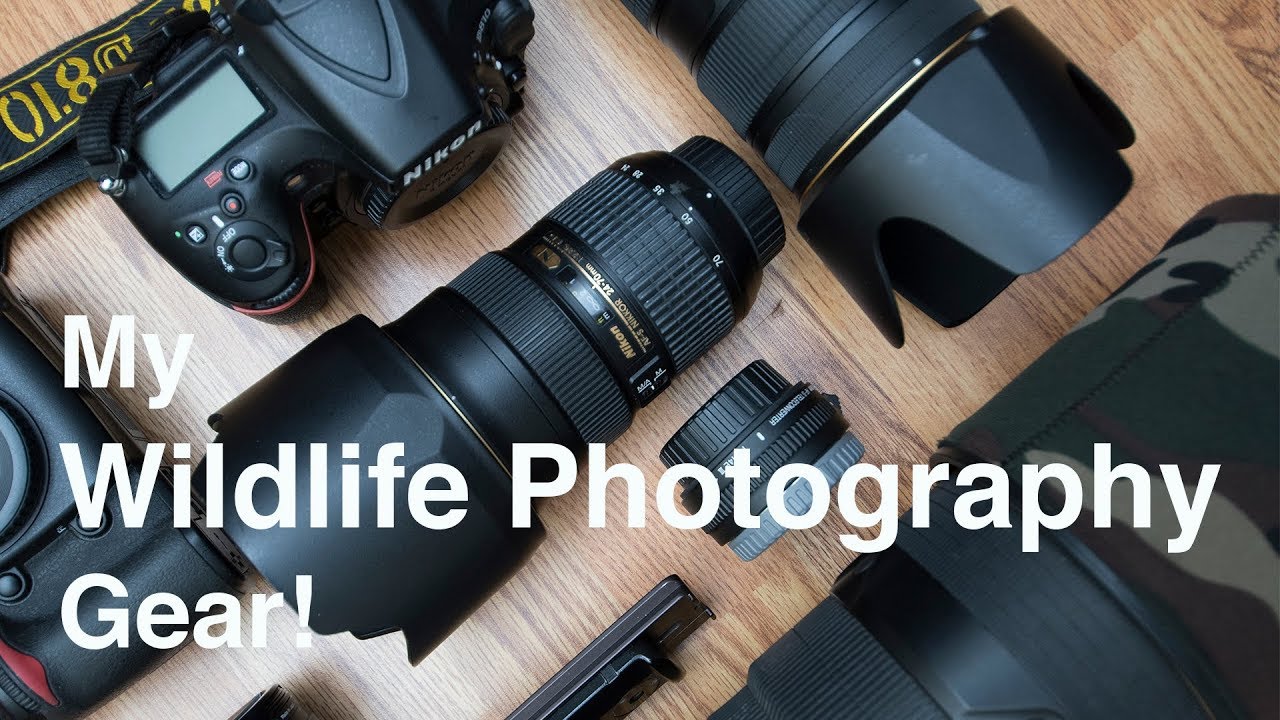 What's in my Wildlife Photography Camera bag