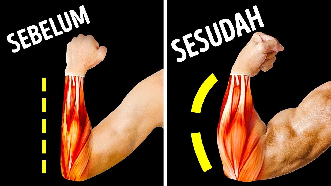 Hanya Perlu 14 Latihan Membangun Otot Lengan Bawah