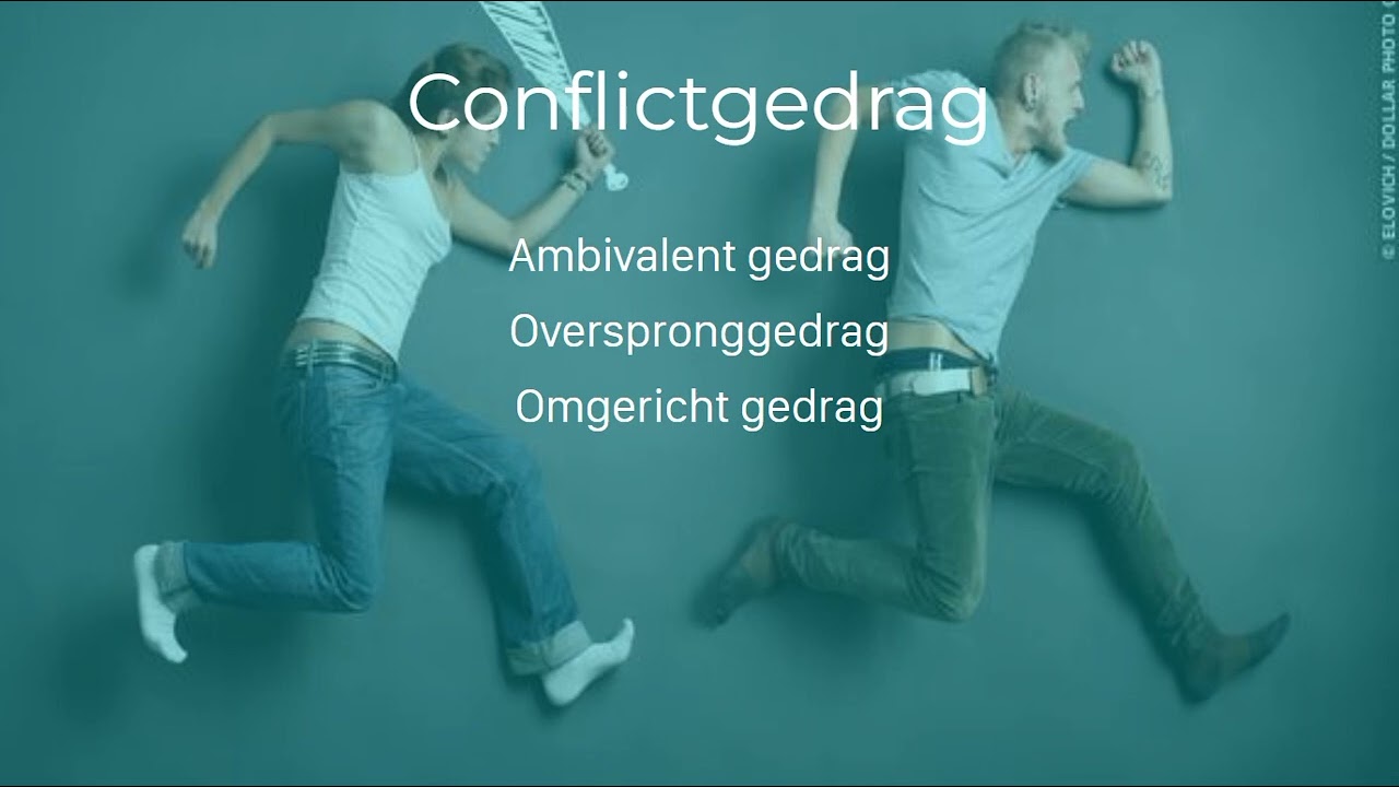 4H - Nectar - H1 - Gedrag