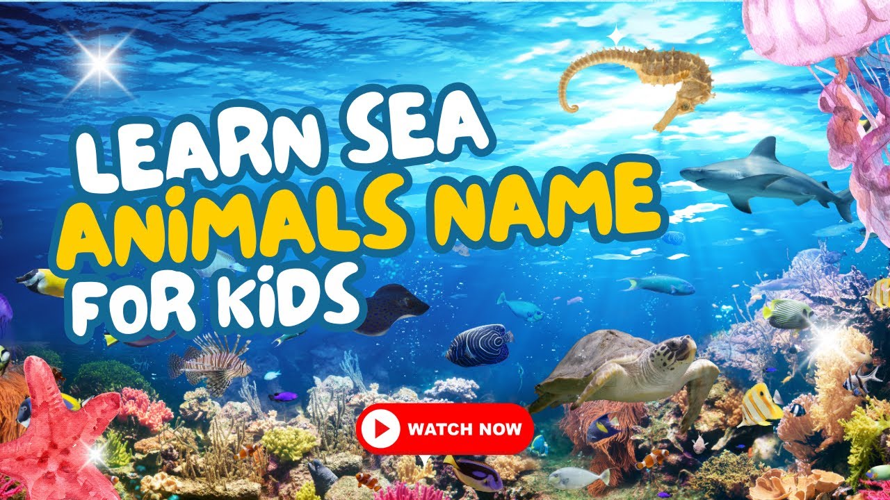 Sea Animals for Kids | Learn 20 Sea Creatures in English | Dolphin, Shark, Octopus & More