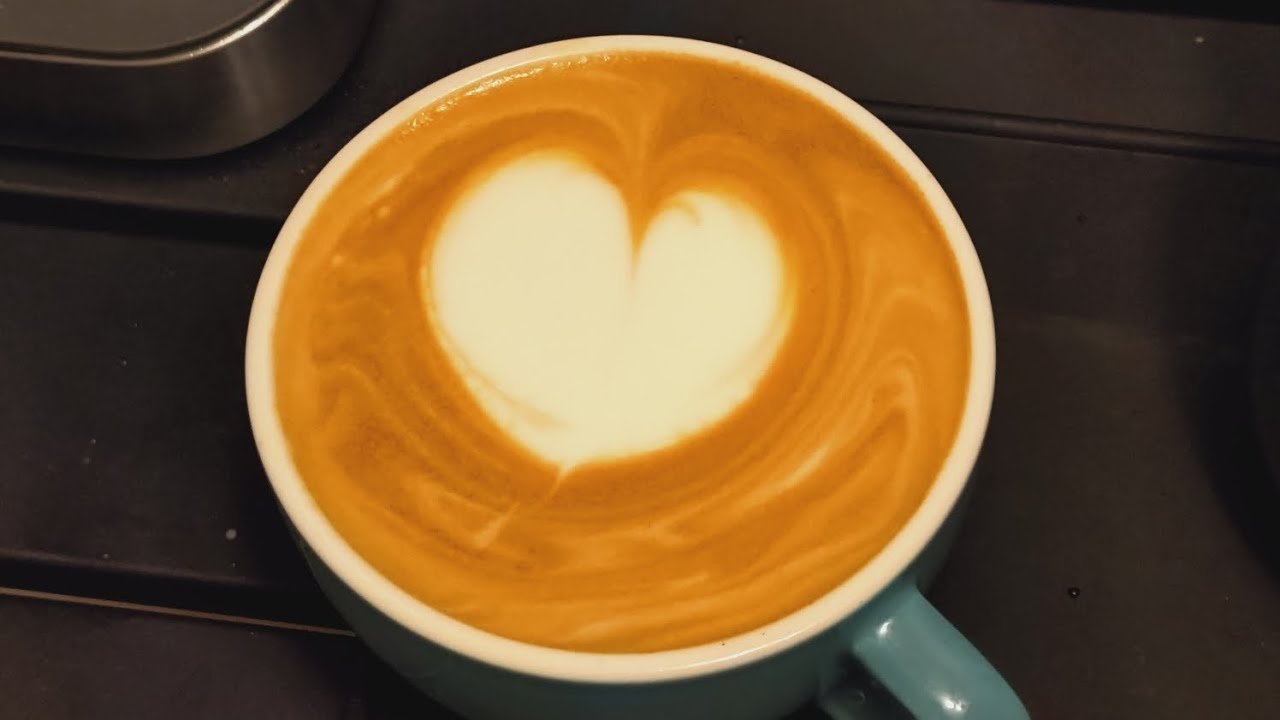 Delonghi EM450J Operation♡