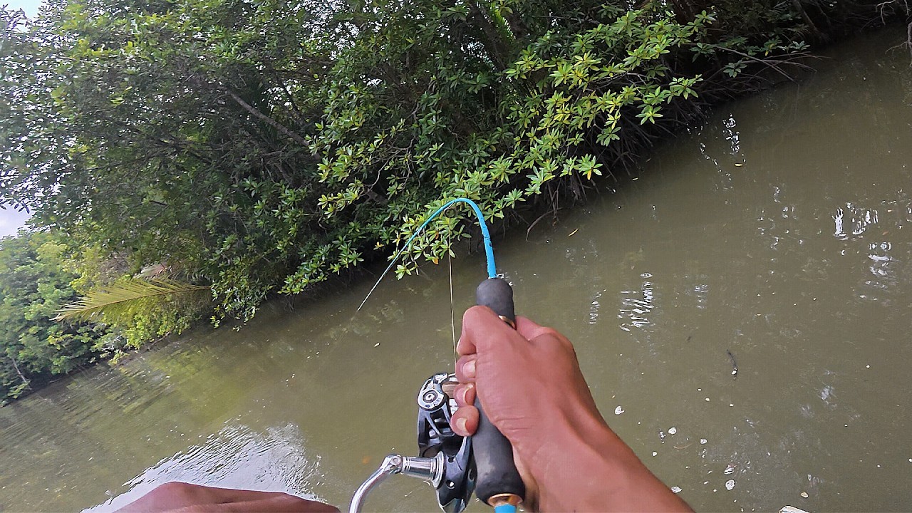 Kail Pancing Menancap dengan paten di mulut ikan kakap besar