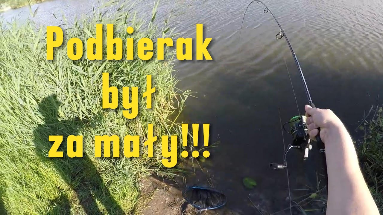 Dobre ryby na metodę!!! Katsudo przetestowane po raz kolejny!