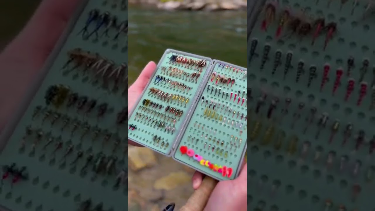 Does Your Fly Box Look Like This?? #shorts