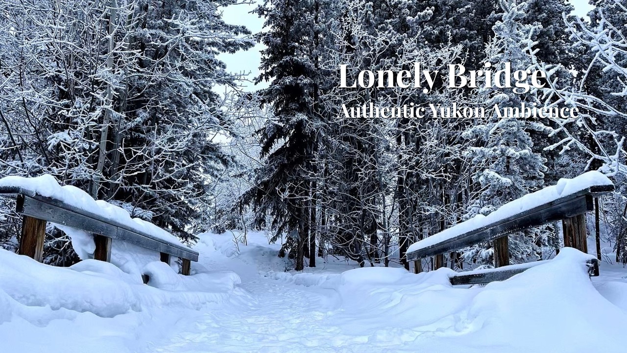 Deep Sleep & Focus | Howling Blizzard - Afternoon Forest Bridge, Yukon
