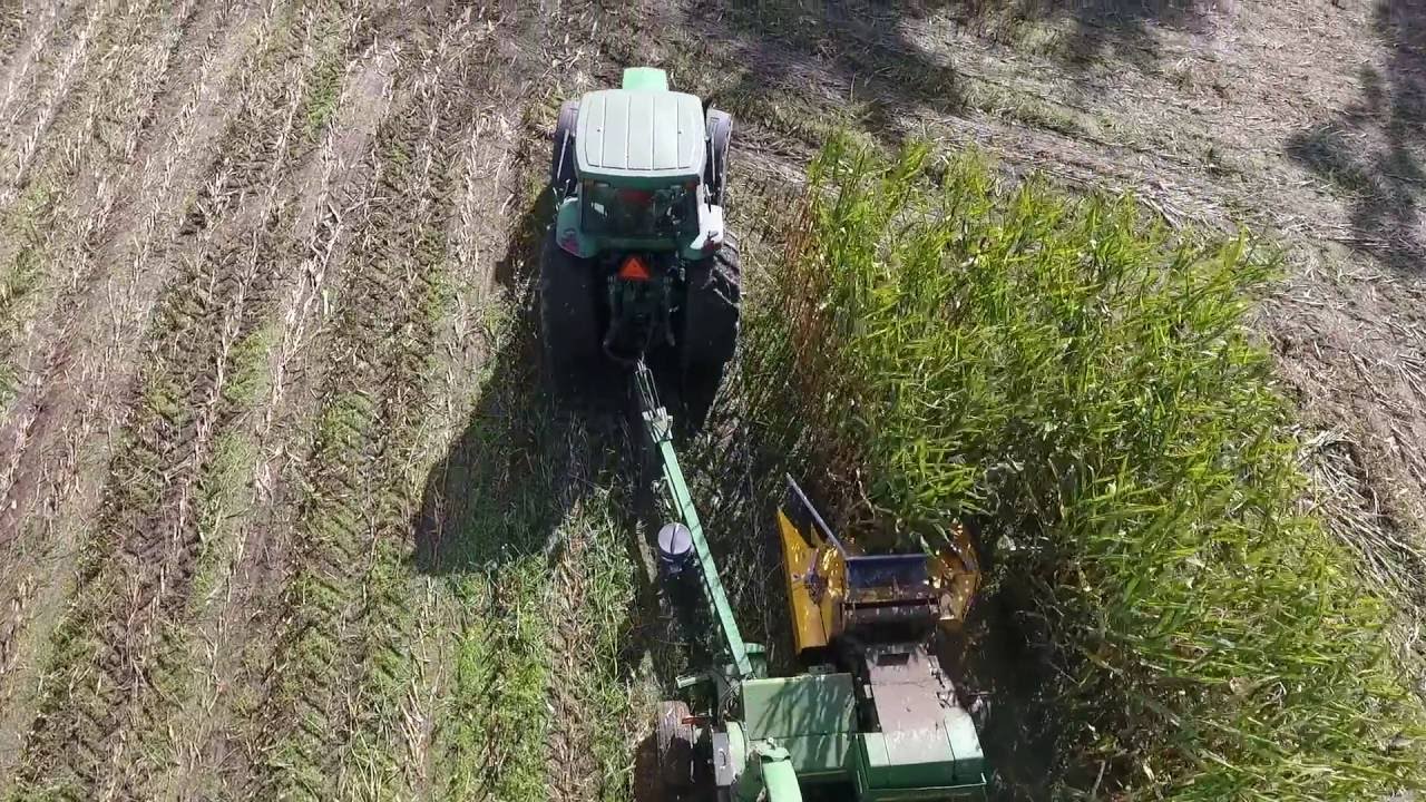 RolleyView Farms || Chopping Corn Pull Type JD3975 Dion Corn Head || Chilliwack BC