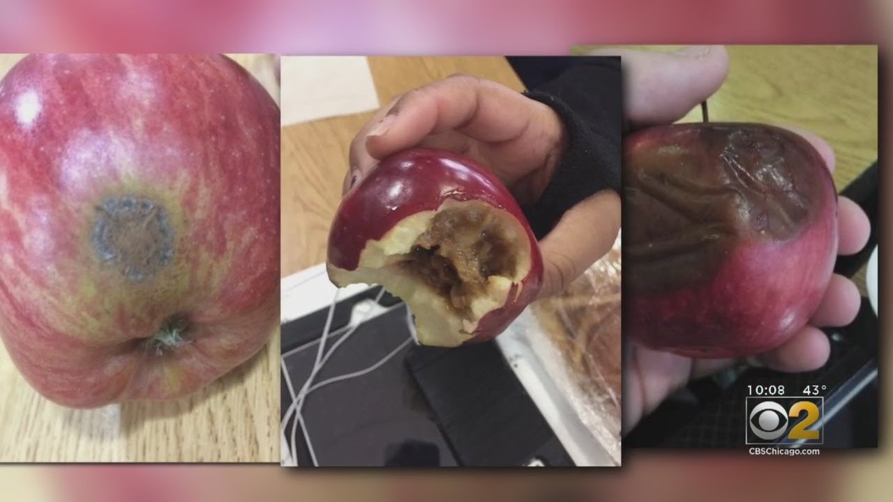 Blue Island High Schooler Says Cafeteria Food Made Her Sick Last December