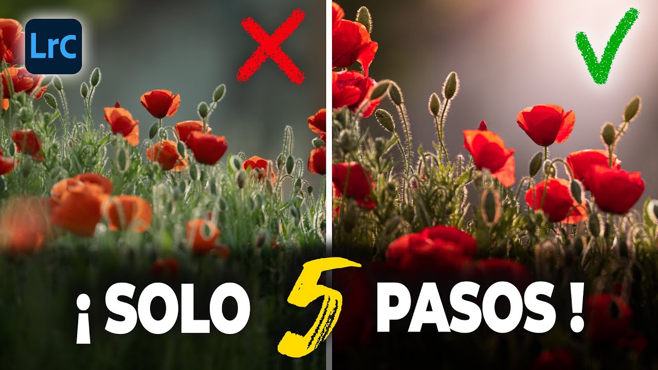 💥 La forma más FÁCIL y RÁPIDA de revelar en LIGHTROOM CLASSIC
