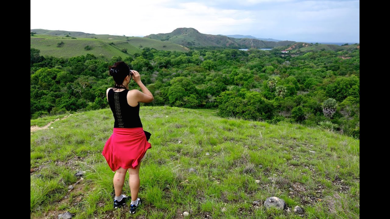Testing Out the Swarovski CL Pocket Binoculars in Indonesia (Labuan Bajo and Bali)