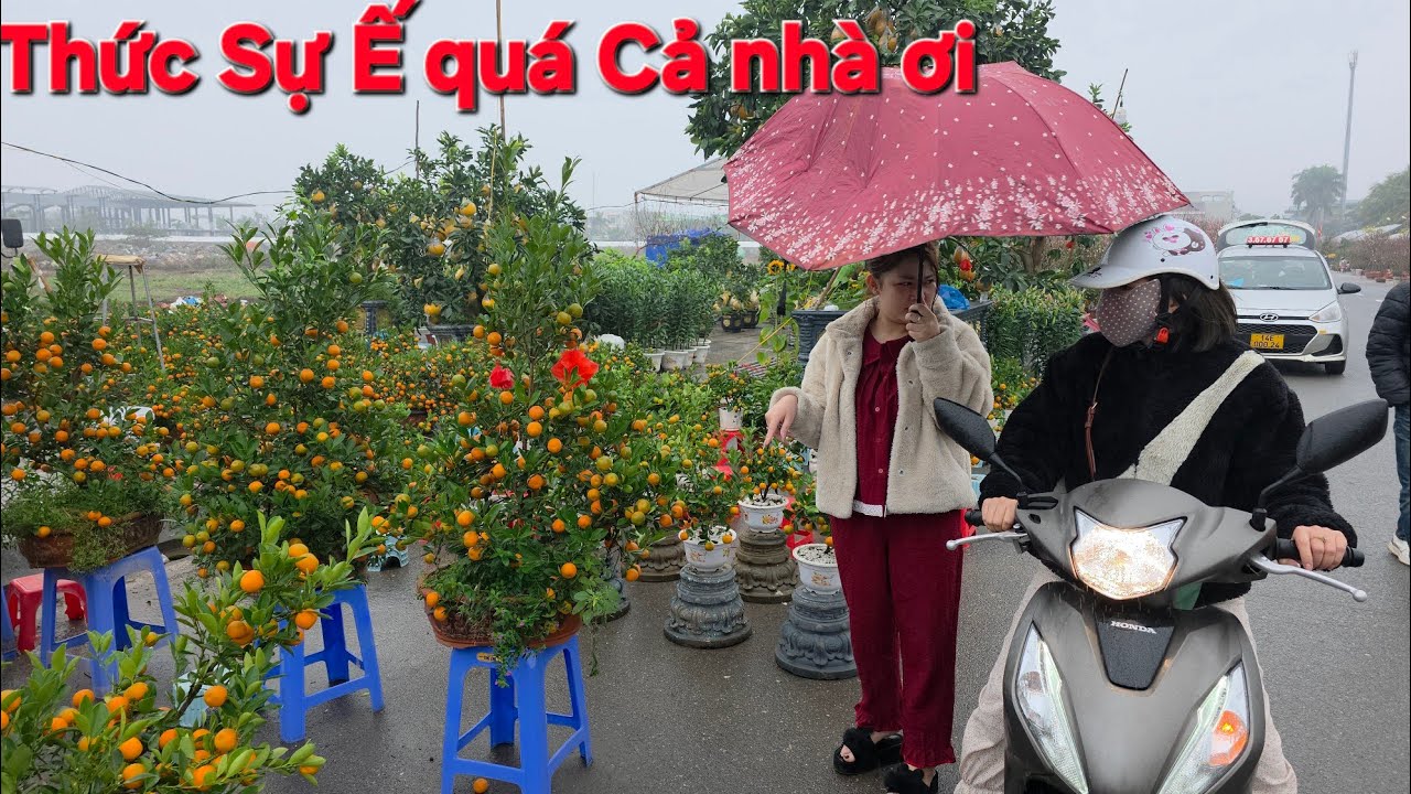Cập liên tục Chợ Hoa Mạo Khê lớn nhất QN giá cả Công khai 
