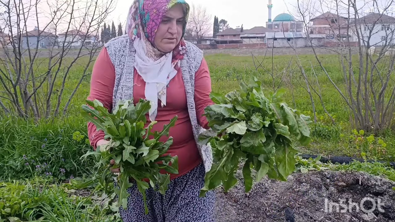 ACI MARUL YEDİM İLK DEFA 😋 YALANCI TİRAMİSU OT TOPLADIM #keşfet #koyvlog #köyhayatı 