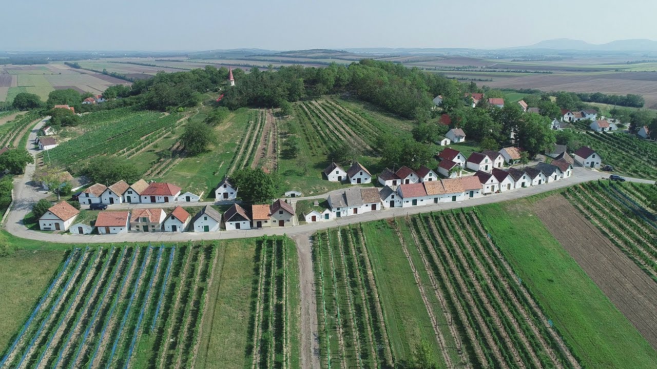 Wildend&uuml;rnbach Kellerberg