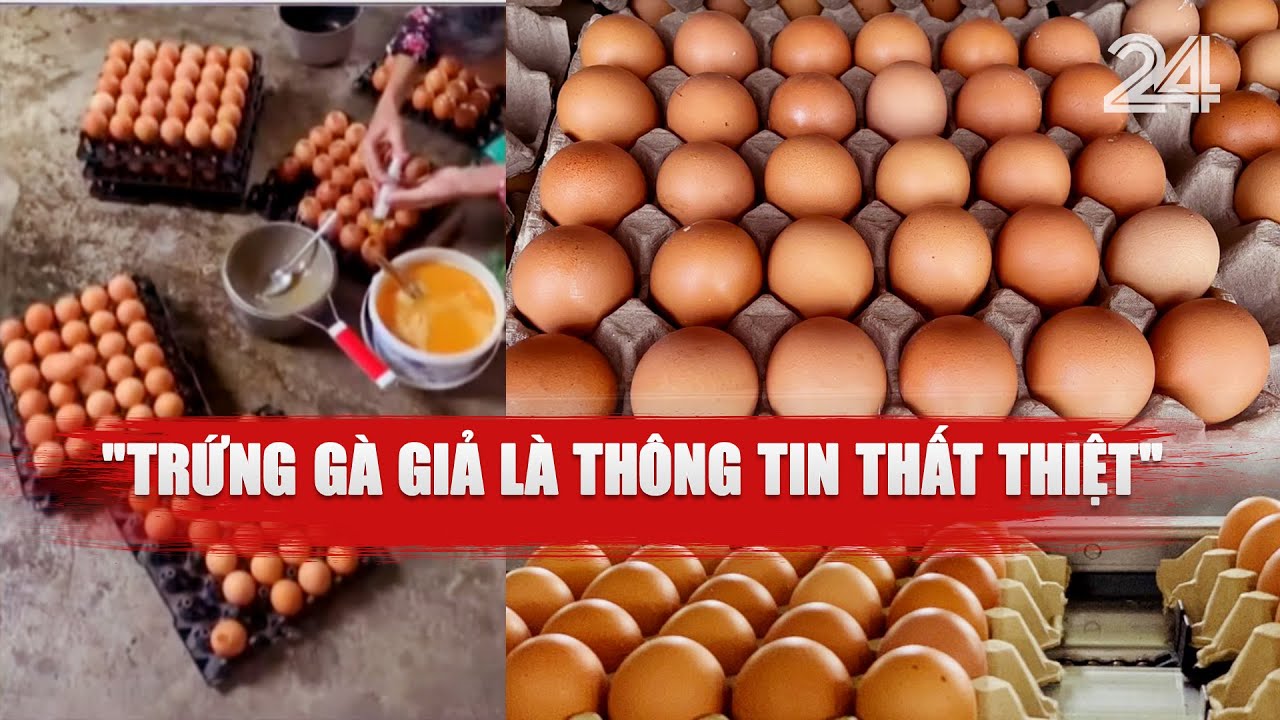 Làm trứng giả còn đắt hơn trứng thật | VTV24