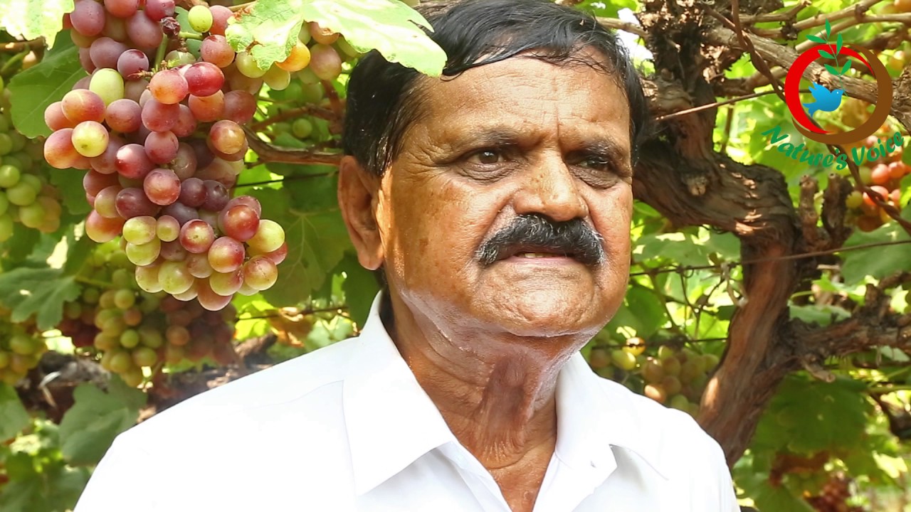Natural Farming | Soil swapping to improve productivity (Hindi Version)