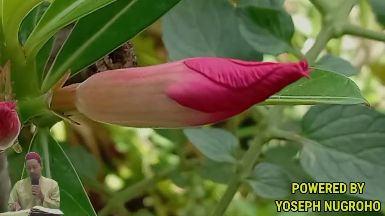 УШБУ СУРАНИ ХАР КУНИ УҚИНГ ЁКИ ЭШИТИНГ Кучли дуо, суралар