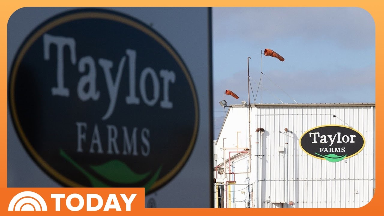 Taylor Farms Lettuce Test for Cyclospora Was False Positive: FDA
