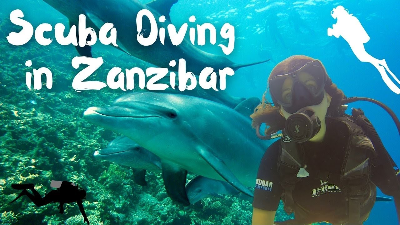SCUBA DIVING ZANZIBAR | Wild Dolphins | Giant Tortoises | Absolute Africa