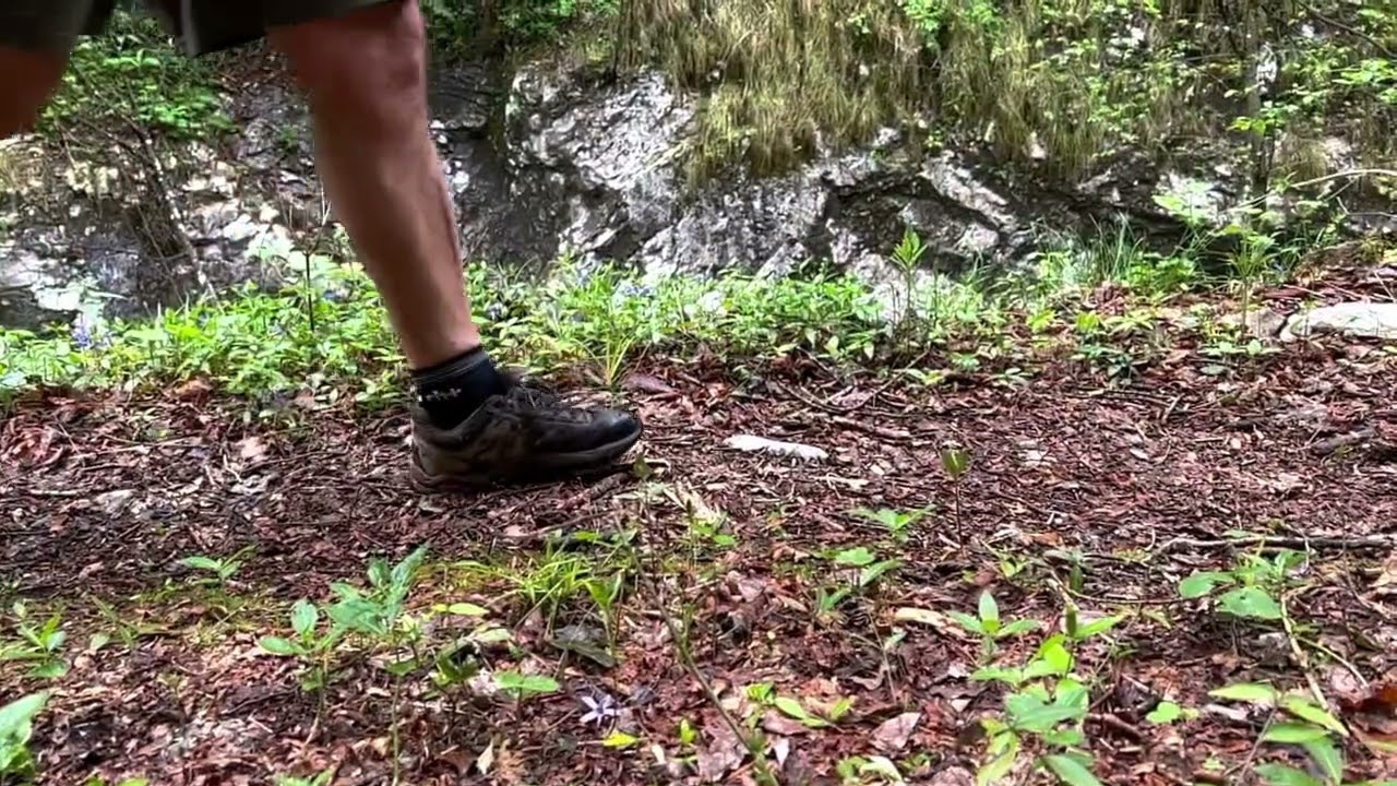 Val Parina e la ferrovia