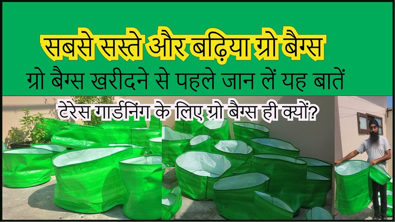 सबसे सस्ते और बढ़िया ग्रो बैग्स || Best Grow Bags for Garden ||  खरीदने से पहले जान लें यह बातें ||
