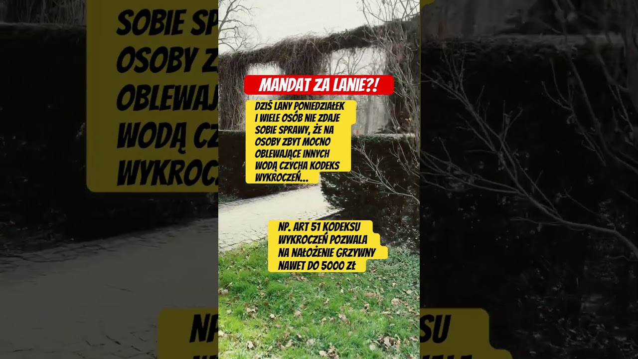 Mandat za lanie?! #wielkanoc #mandat #grzywna