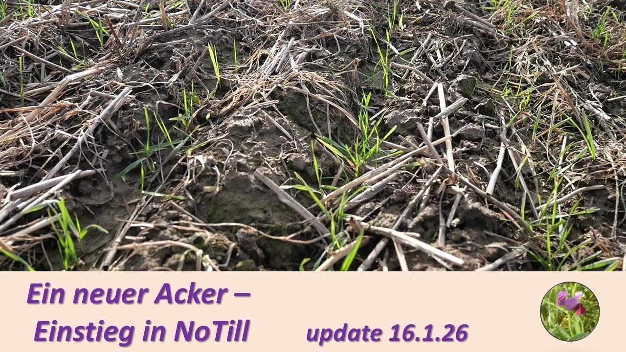 Ein neuer Acker - Einstieg in NoTill - update vom 16.01.2026