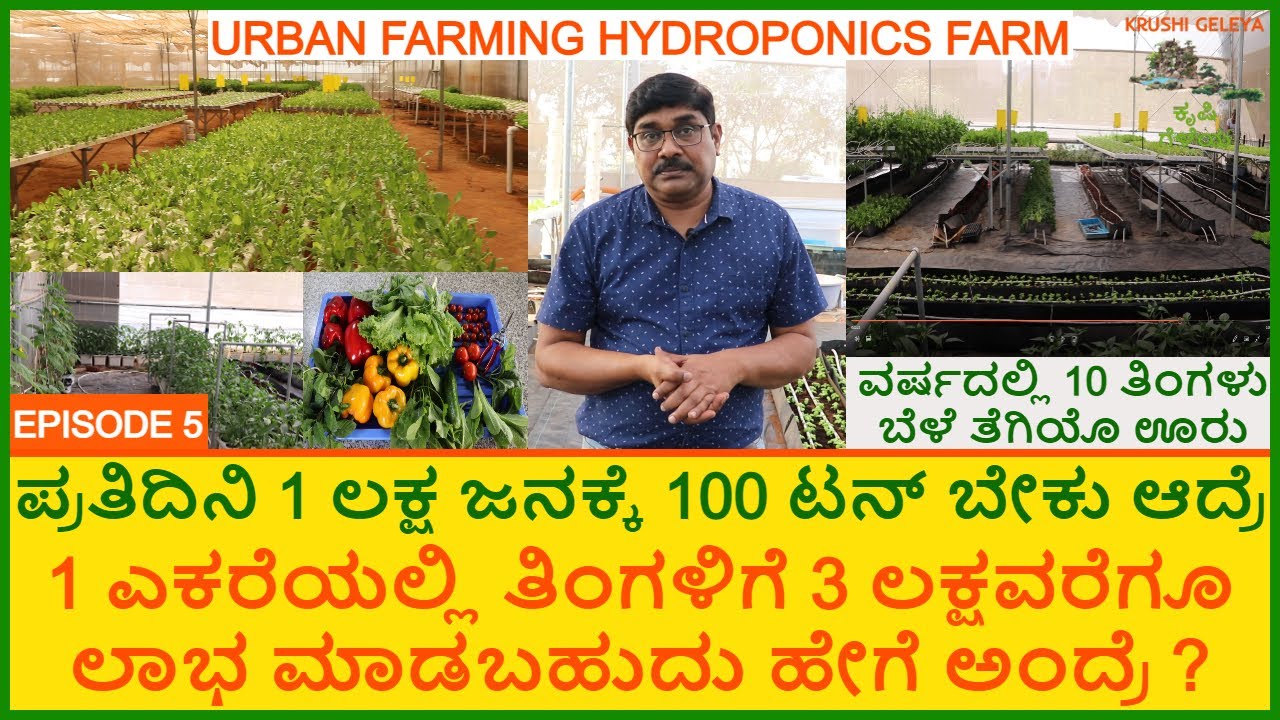 ಮಾಡ್ರನ್ ರಿಟೇಲ್ ಬಂದಮೇಲೆ ಇದರ ಮಾರ್ಕೆಟ್ ವಿಸ್ತಾರ ಆಗತಿದೆ | 7 Years In Hydroponics Farm | Urban Farming Ep5