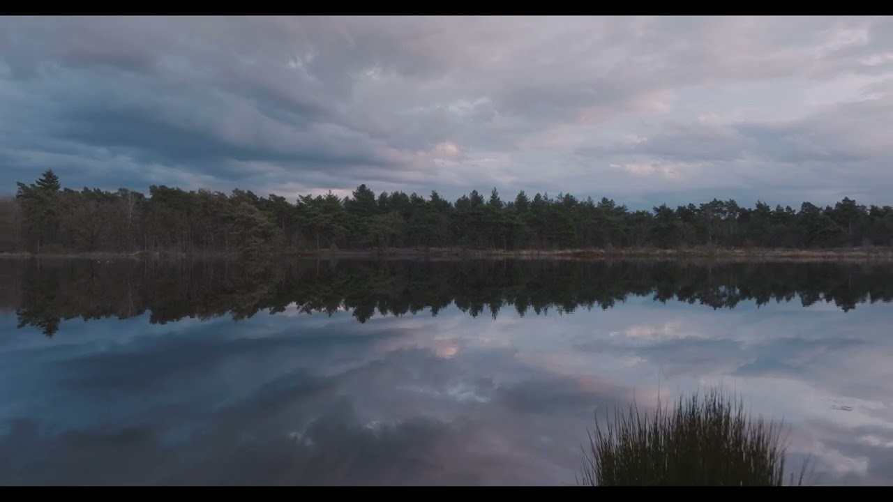 Cielo Rosa