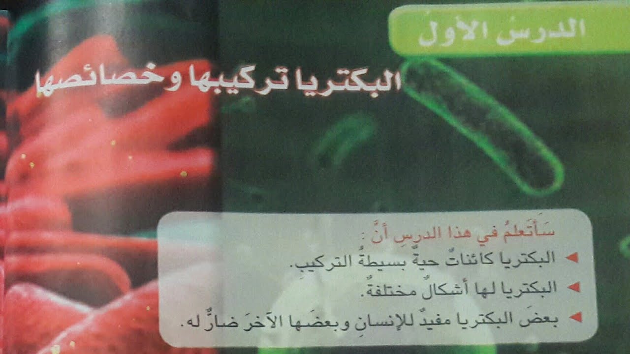 البكتريا تركيبها وخصائصها مع مراجعة الدرس صفحة ٢٣ ..علوم الرابع الابتدائي