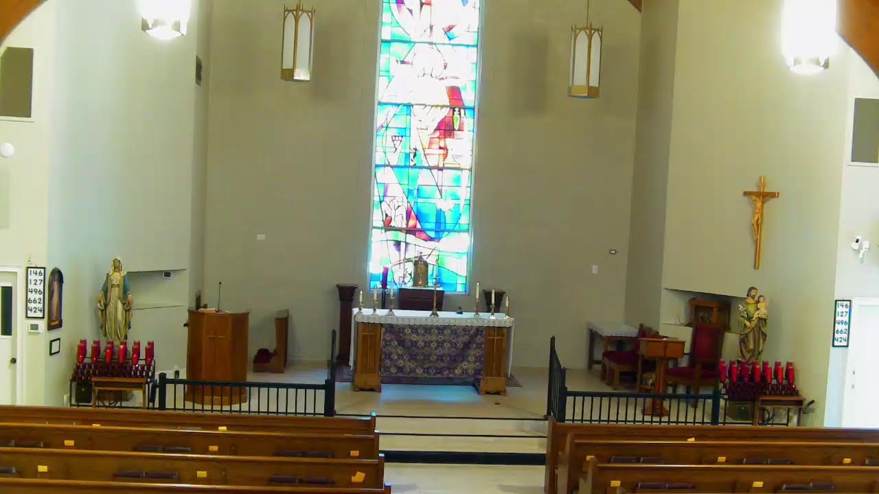 St. William Catholic Church Live Stream