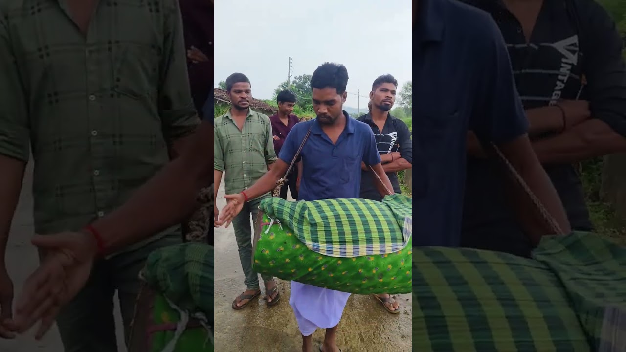 भोजली जवारा विसर्जन 🙏 साज बाज के साथ कर्मा के लहर