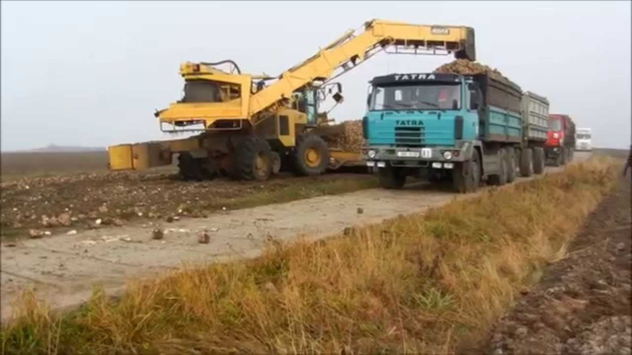 řepná kampaň 2012/2013