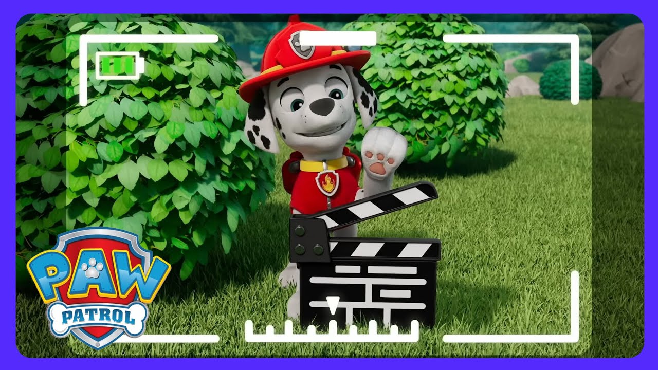Paw Patrol - Cachorros Salvan Director | WildBrain Niños