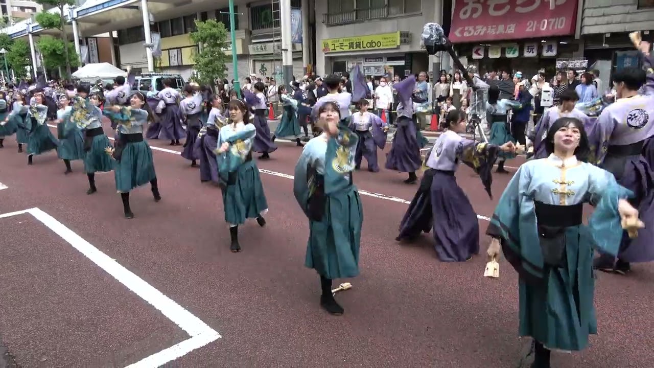 湘南よさこい2024 ～ 早稲田大学よさこいチーム東京花火