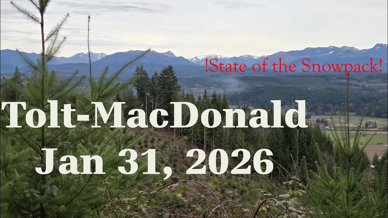 Tolt-MacDonald MTB Clips
