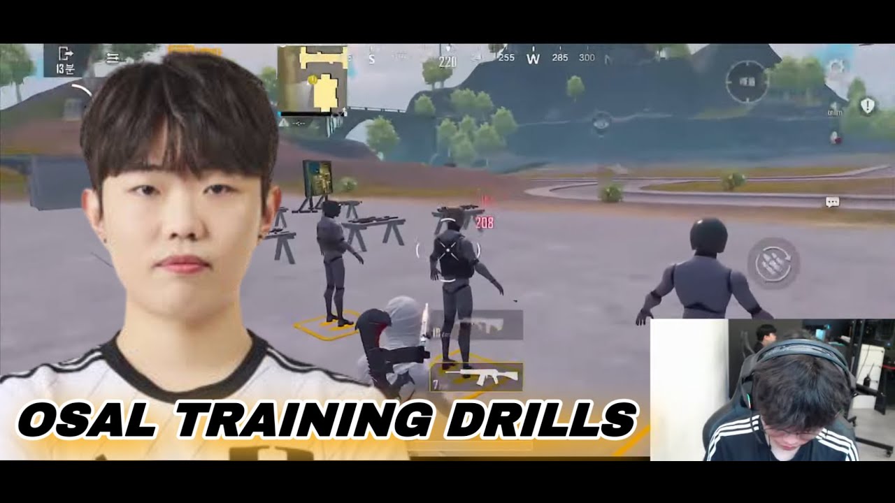 The Hidden Power of Sensitivity in OSAL Training—Revealed @pubgmosal