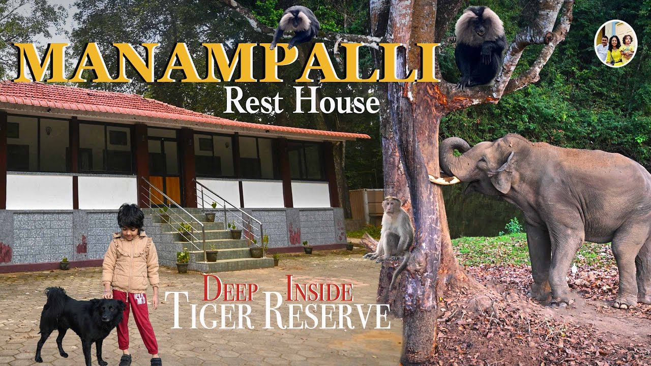 Story of Manampalli  - Stay in Forest rest house deep inside tiger reserve | Dangerous forest route