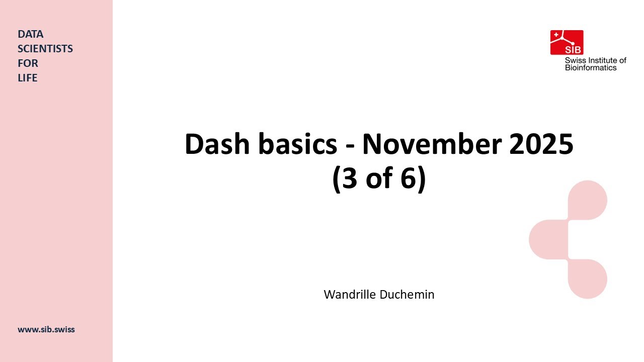 Dash basics -  November 2025 (3 of 6)
